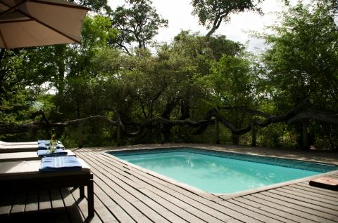 Royal Tree Lodge Maun, Ngamiland, Botswana