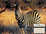 Sabi Sabi, South Africa