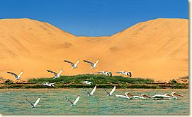 Sandwich Harbour Namibia