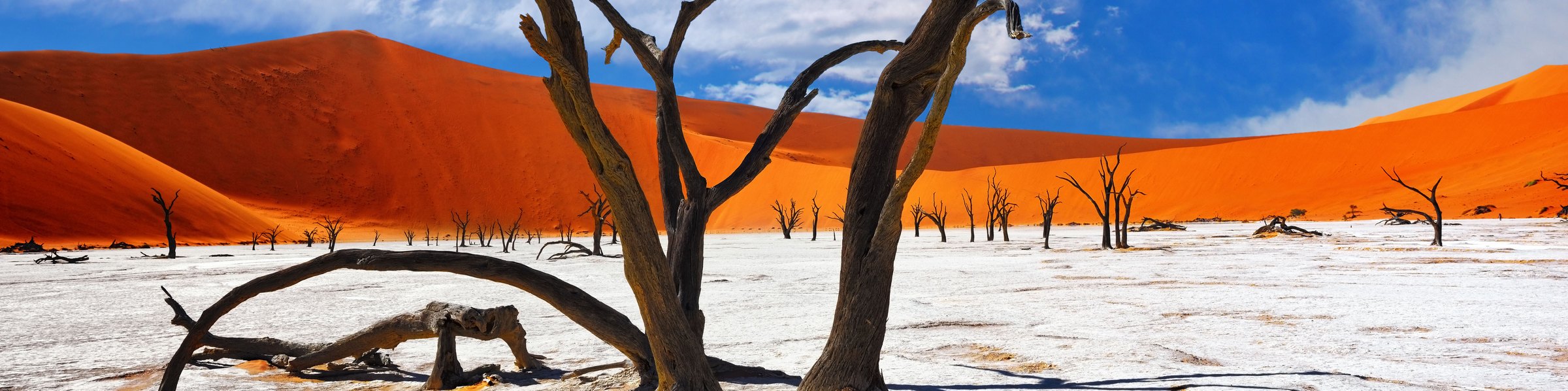 Sesriem Oshana Camp, Namib-Naukluft National Park, Namibia