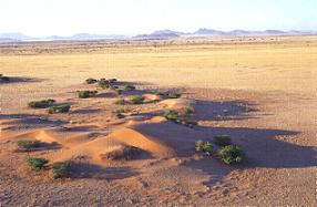 Sossusvlei Lodge Namibia dunes