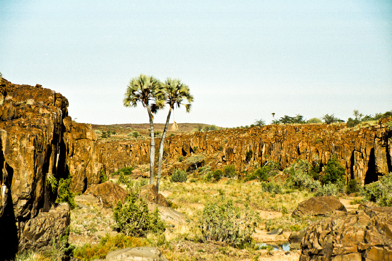 Springbok Atlas tours and safaris in Namibia