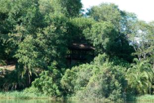 Divava Okavango Lodge Namibia