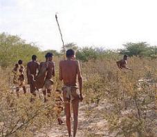 Thakadu Bush Camp Ghanzi, Botswana