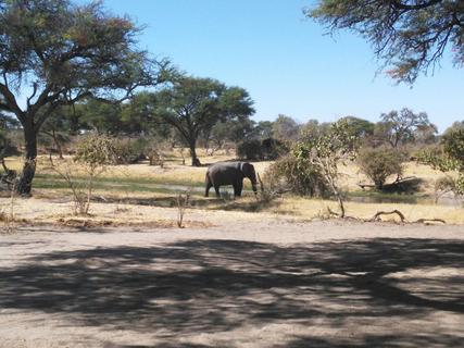 Tshaa Camp, Moremi Game Reserve, Botswana