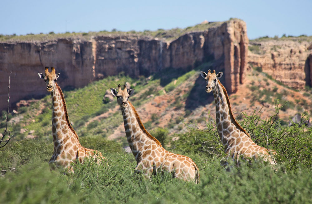 Vingerklip Lodge, Khorixas area, Damaraland, Namibia