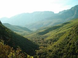 Voelgesang B&B De Rust, Western Cape, South Africa