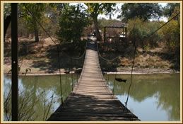 Wild At Tuli Safaris Tuli Block, Botswana