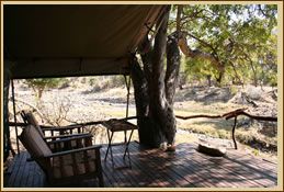 Wild At Tuli Safaris Tuli Block, Botswana