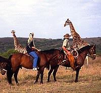 Zululand Safari Lodge Kwa-Zulu Natal, South Africa