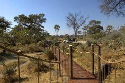 Baines' Camp, Ngamiland, Botswana