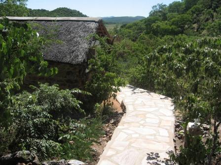 Bush Baby Lodge and Camping Grootfontein, Namibia