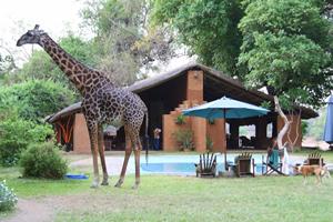 Croc Valley Boutique Camp South Luangwa National Park, Northern Province, Zambia