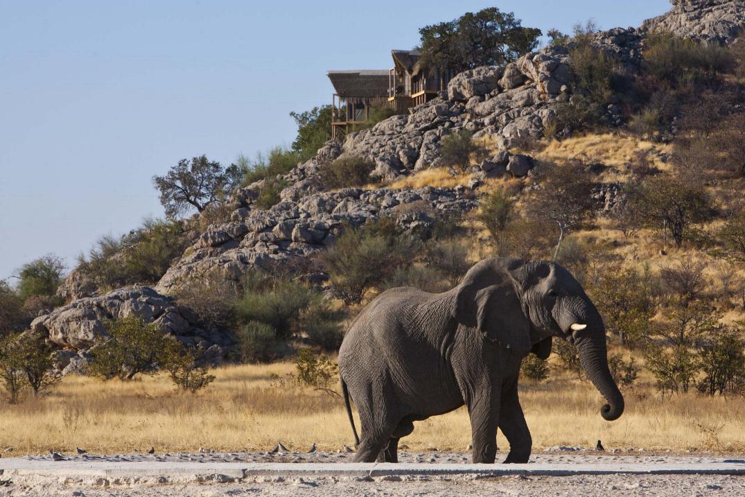 Dolomite Rest Camp | Etosha National Park | Namibia