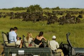 Duba Plains Camp Wilderness Safaris Botswana