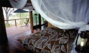 ngamiland adventure safaris address