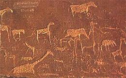 Rock engravings Twyfelfontein Namibia