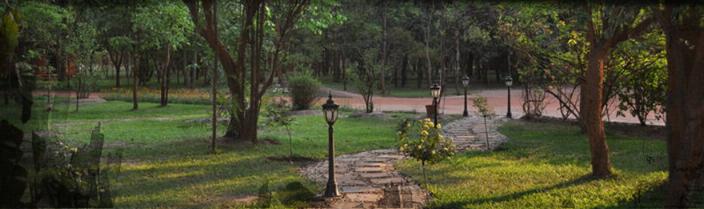 Forest Inn Mkushi, Central Province, Zambia