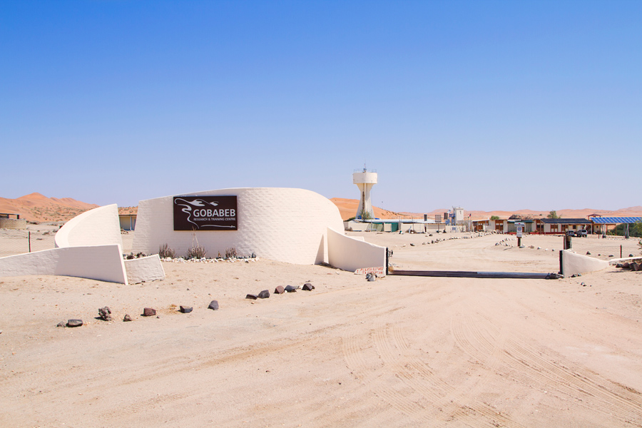 Gobabeb, Namib-Naukluft Park, Namibia