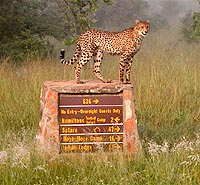 Hamiltons Tented Camp, Northern Province, South Africa