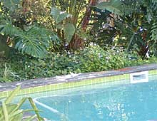 Hillview Self-Catering Apartments Knysna, Western Cape, South Africa