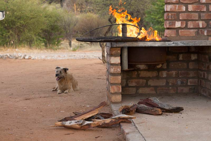 Kaoko Bush Lodge, Kamanjab, Namibia