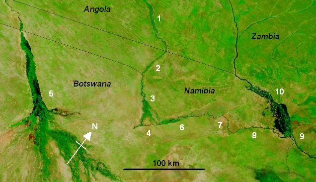 Map of the Cuando-Linyanti-Chobe river system in the region of Namibia’s Caprivi Strip based on a NASA satellite photo (note orientation with north-west at top). Water shows black. 1 The Cuando River; 2 Caprivi Strip; 3 Mudumu National Park and Lianshulu Lodge, the end of the Linyanti Swamp; 4 Linyanti Swamp and Mamli National Park, where a ridge of Kalahari sand blocks flow to the south-east; 5 Okavango River and delta which sinks into the Kalahari sands; 6 Linyanti River; 7 Lake Liambezi (dry when photo was taken); 8 Chobe River; 9 Confluence of Chobe and Zambezi at Kazungula; 10 Zambezi and Caprivi Swamps were experiencing an extreme flood at the time of the photo. Credit: Jacques Descloitres, MODIS Rapid Response Team, NASA/GSFC