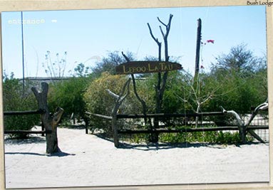 Leroo La Tau Bush Lodge Makgadikgali National Park, Botswana