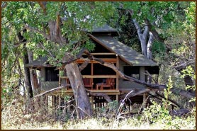 Little Kwara Camp Okavango Delta Ngamiland Botswana