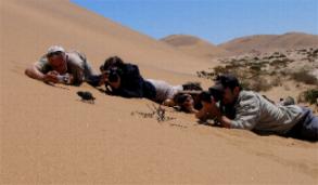 Living Desert Adventures Namibia