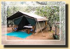 Mopane Camp Kaokoland, Namibia