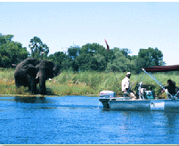 Okuti Camp Ngamiland, Botswana