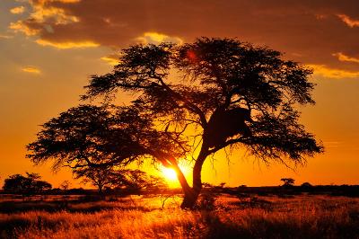 Kalahari Red Dunes Lodge Kalkrand, Namibia