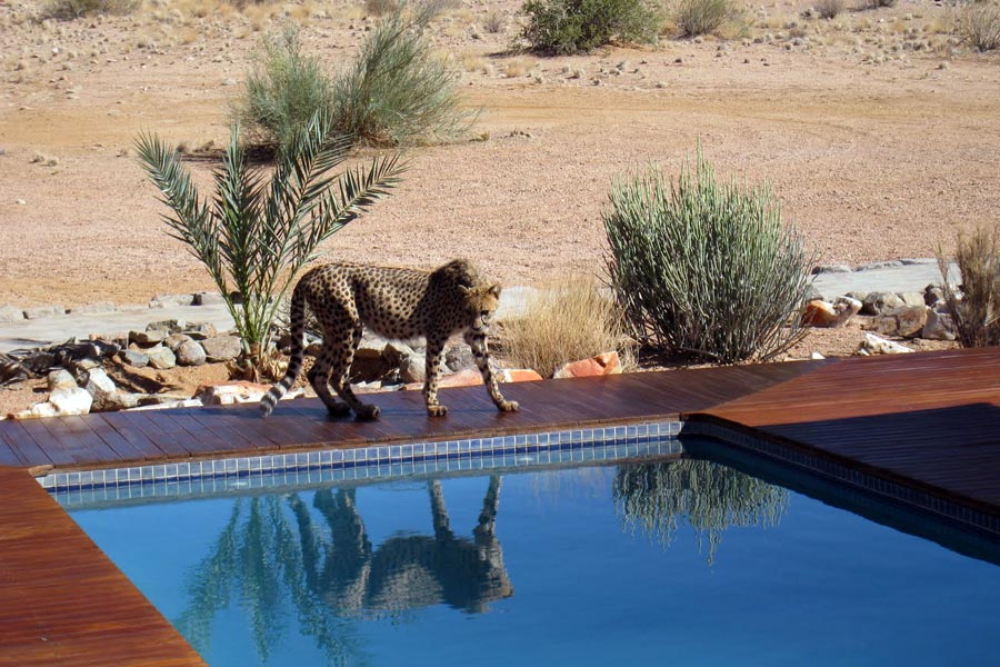 Sandfontein Nature Game Reserve and Luxury Lodge, Namibia