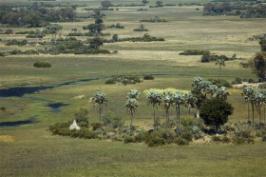 Seba Camp Wilderness Safaris, Botswana