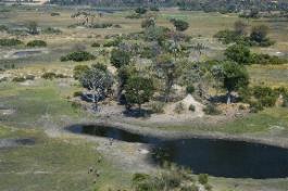 Seba Camp Wilderness Safaris, Botswana