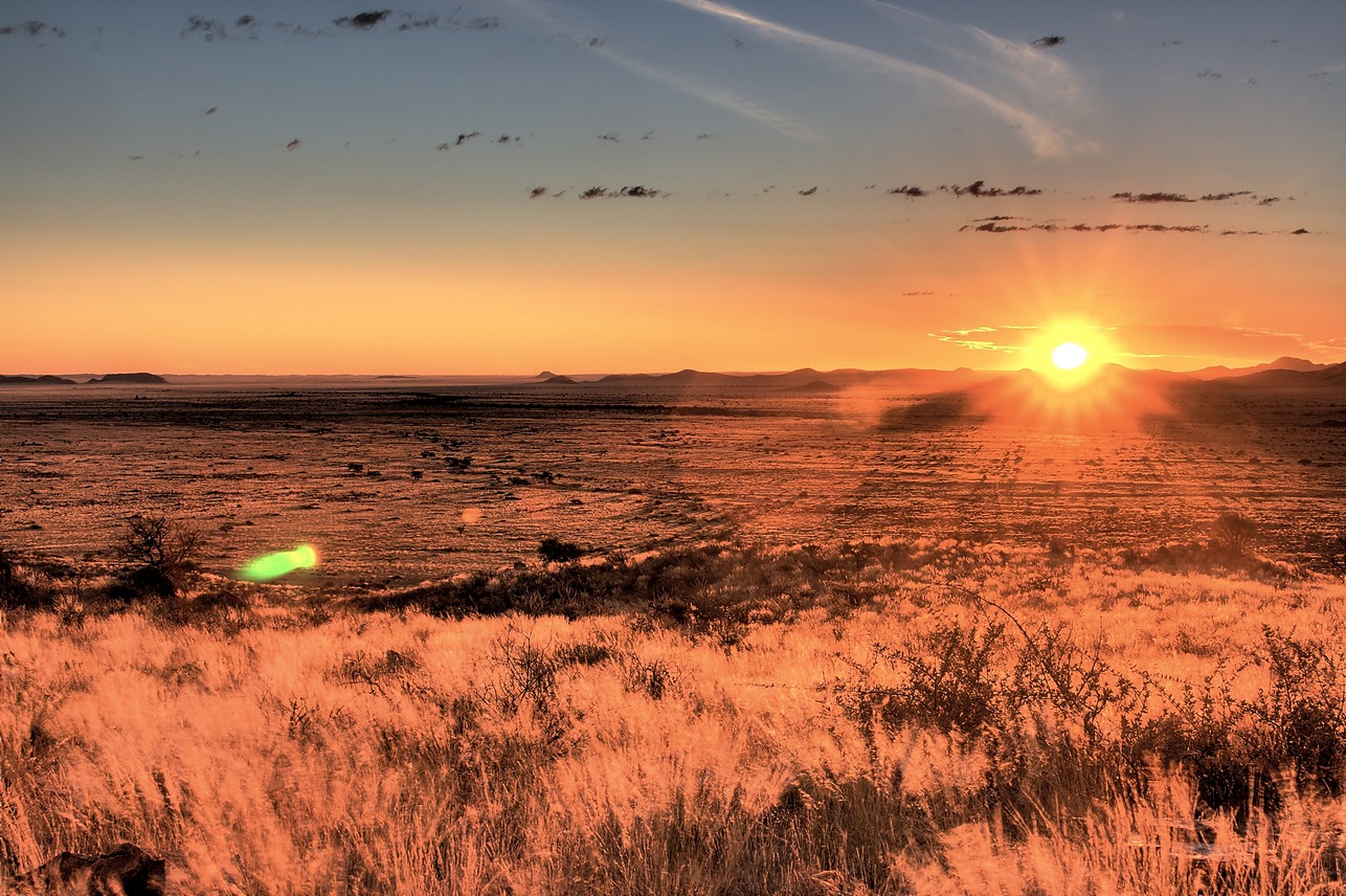 Solitaire Desert Farm, Namibia