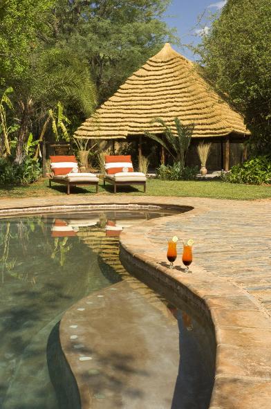 Divava Okavango Lodge Namibia: swimming pool