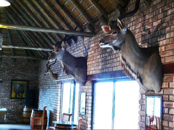 West Nest Lodge | Namibia