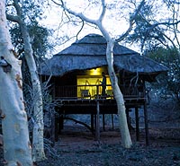 Zululand Tree Lodge Kwa-Zulu Natal, South Africa
